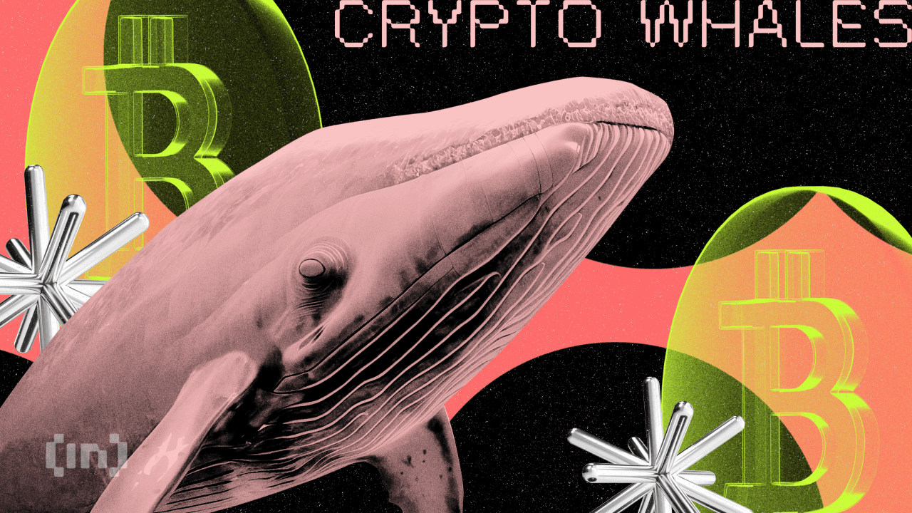 Інтерв&#8217;ю з The White Whale та MEXC: правда про заморожені 3 млн доларів