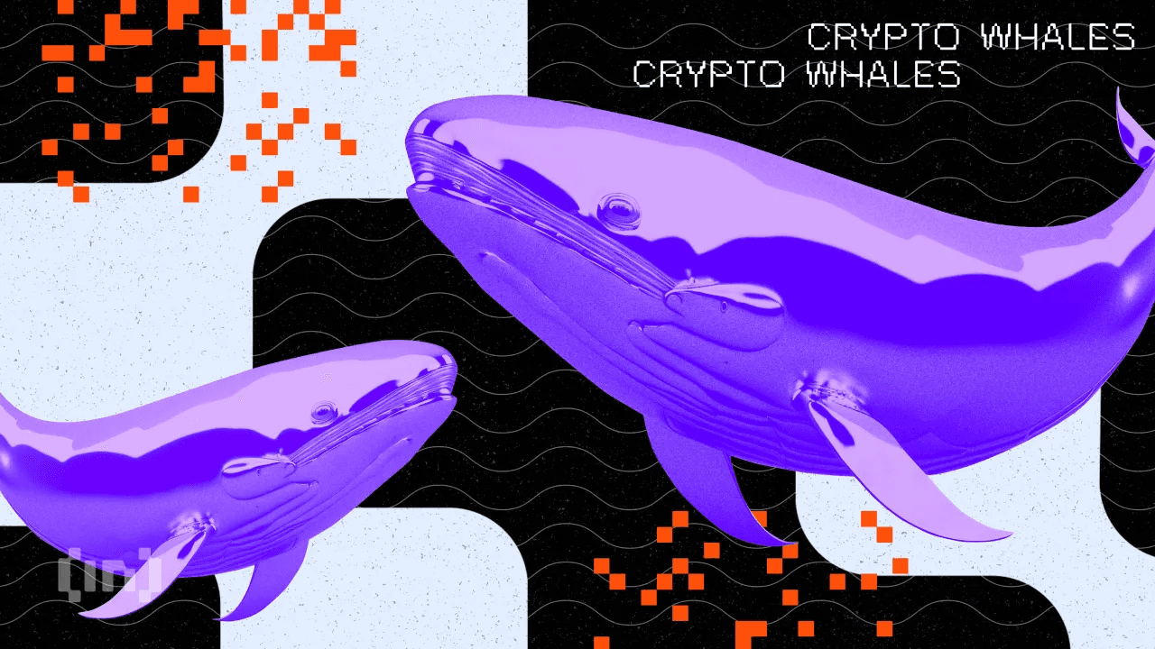 Чи це був Джастін? XPL зростає на 200 % на Hyperliquid після очищення книги замовлень китом