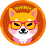 Shiba Inu Mother