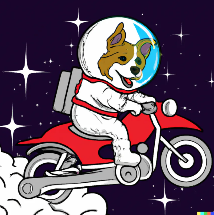 dog riding a bike dalle