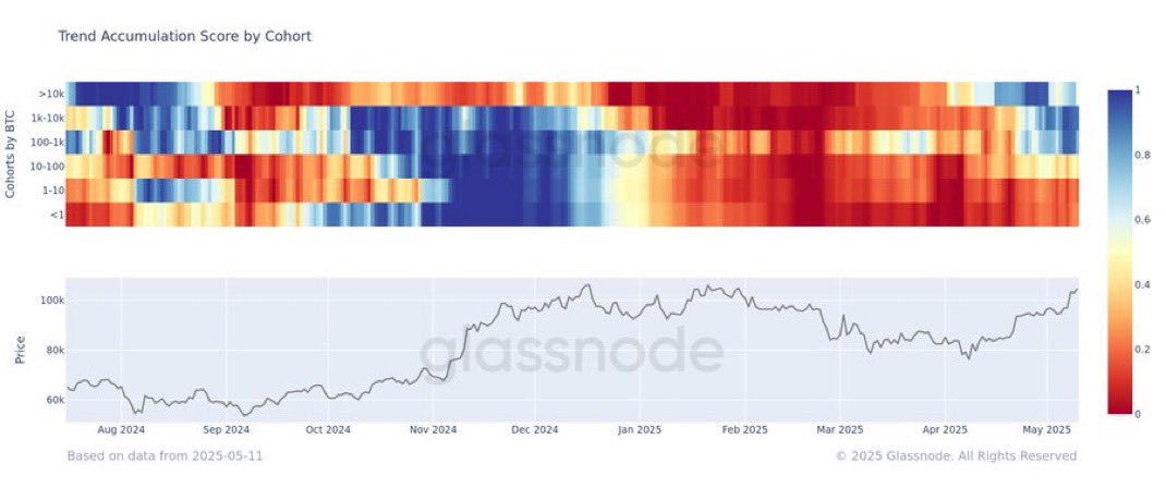 Індекс накопичення біткоїна за когортами. Джерело: Glassnode.
