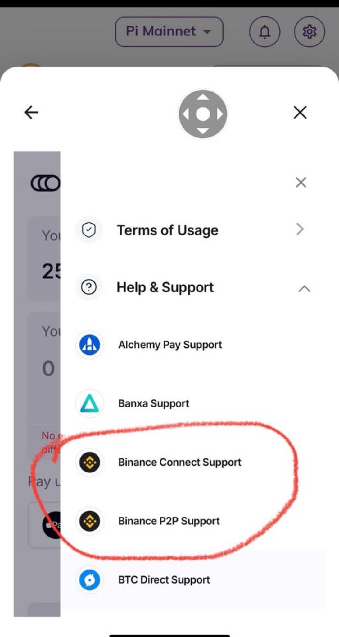 Опції підтримки Binance у гаманці Pi.